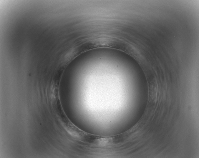 X0000066540126200603241421