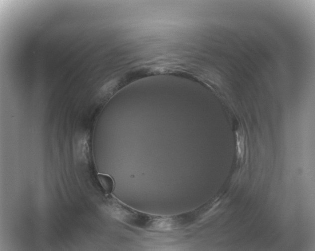 X0000066540127200603241421