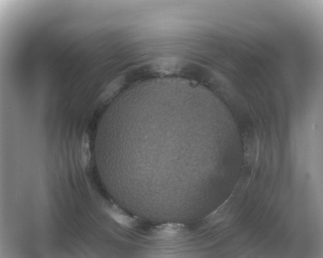 X0000066540128200603241421