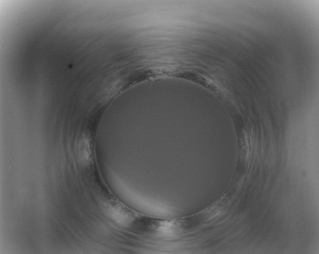 X0000066540130200603241421