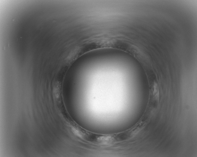 X0000066540133200603241421