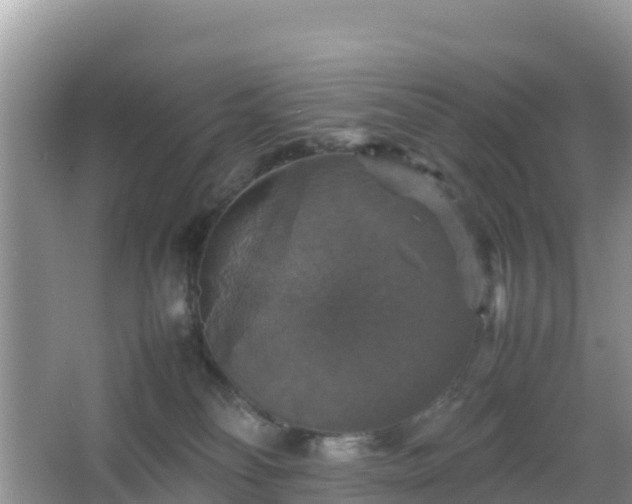 X0000066540134200603241421