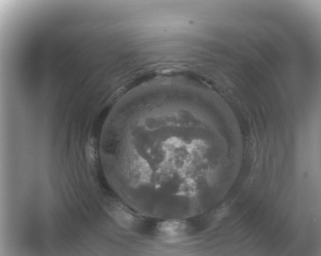 X0000066540135200603241421