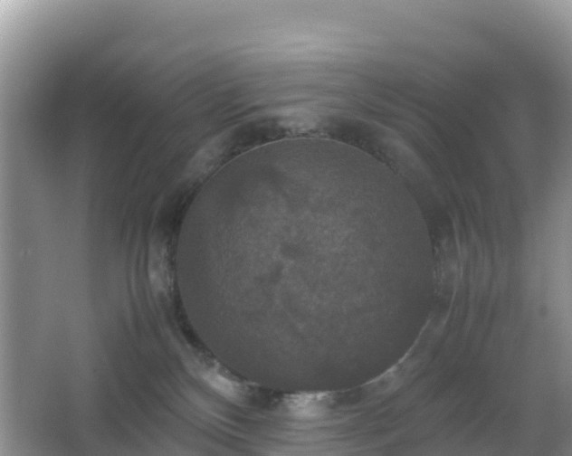 X0000066540136200603241421