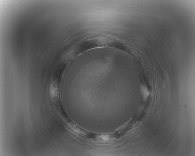 X0000066540137200603241421