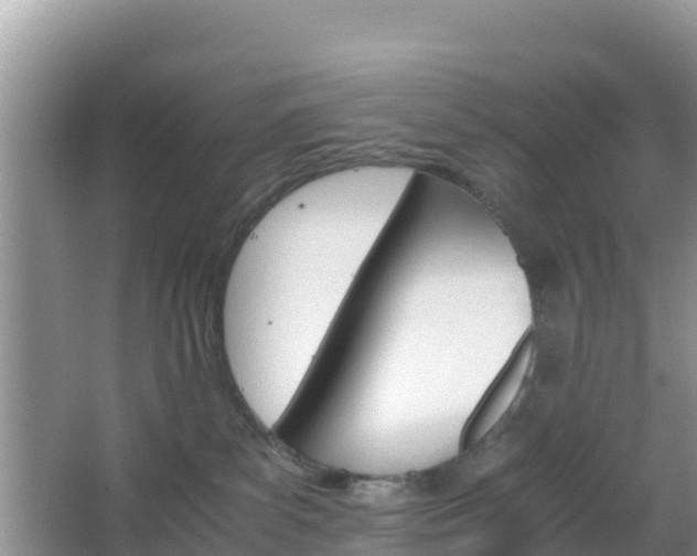 X0000066540139200603241421