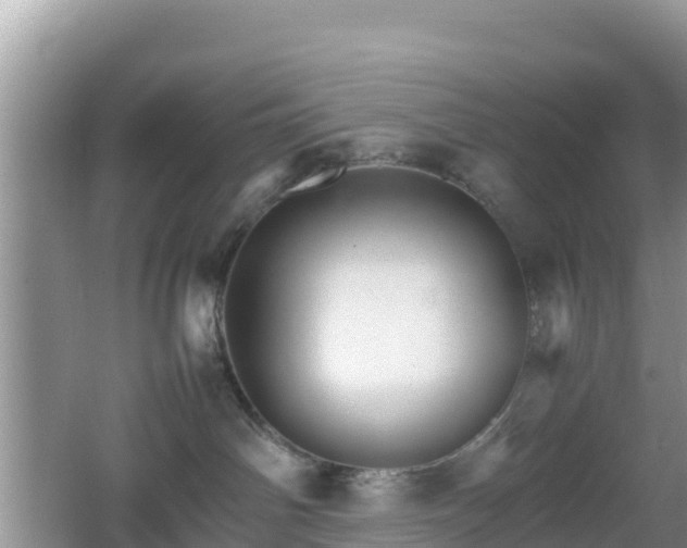 X0000066540142200603241421