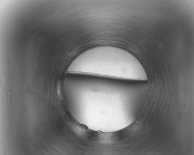 X0000066540143200603241421