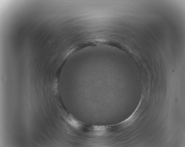 X0000066540144200603241421