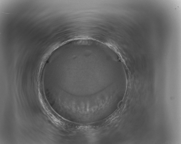 X0000066540145200603241420