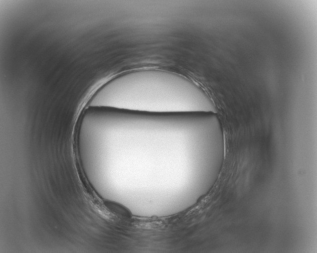 X0000066540147200603241420