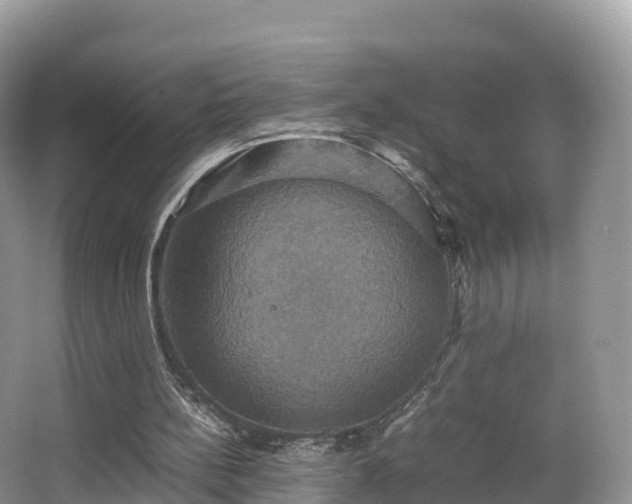 X0000066540148200603241420