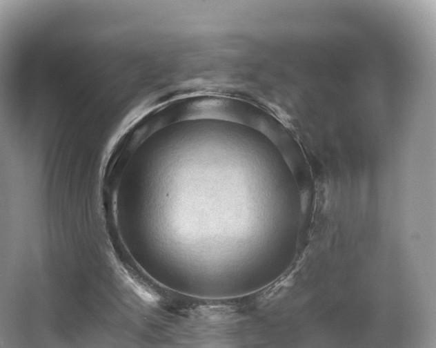 X0000066540150200603241420