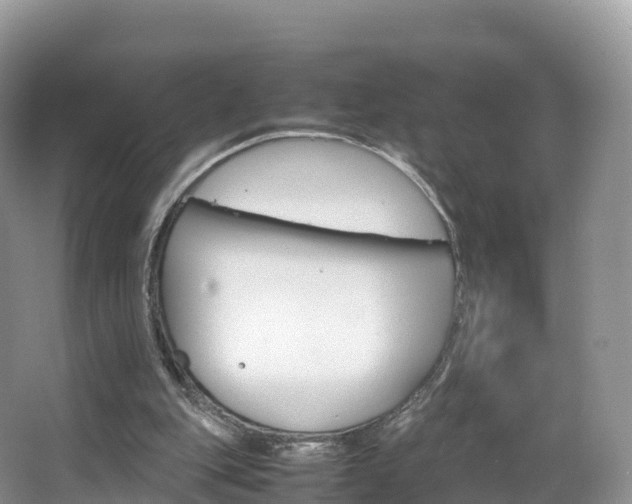 X0000066540151200603241420