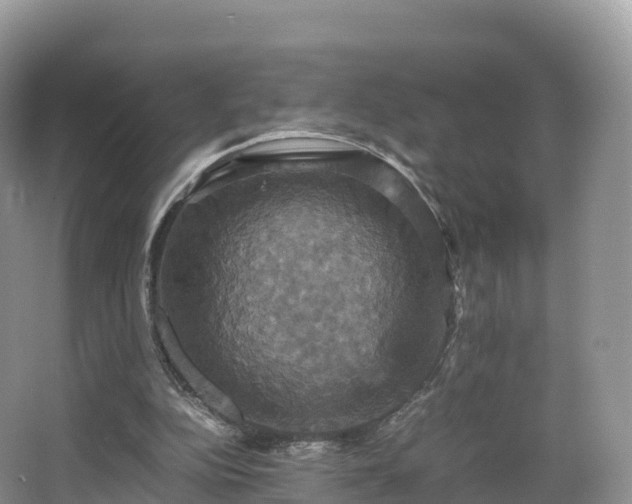 X0000066540152200603241420