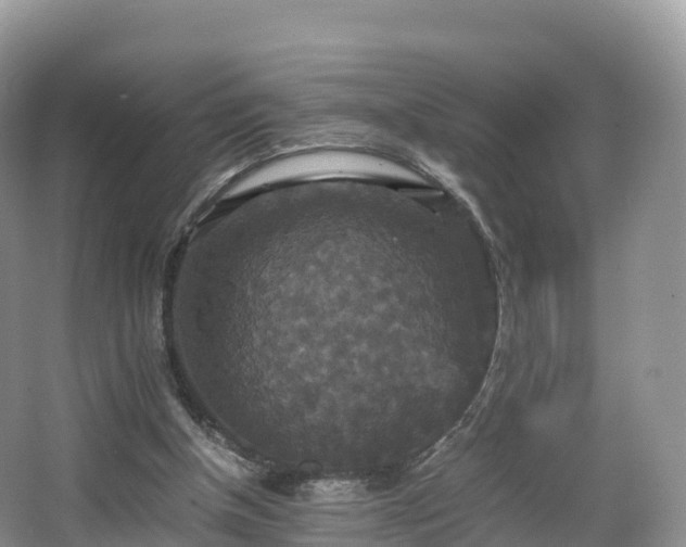 X0000066540154200603241420