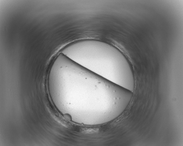 X0000066540155200603241420