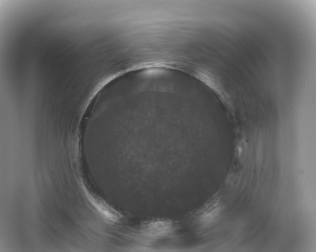 X0000066540156200603241420