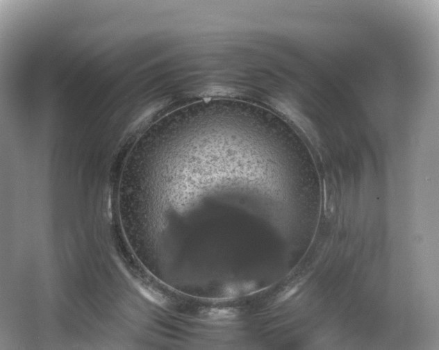 X0000066540157200603241420