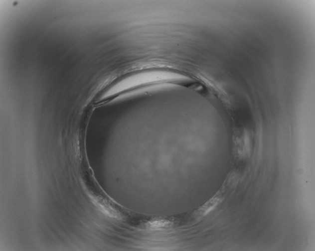 X0000066540158200603241420