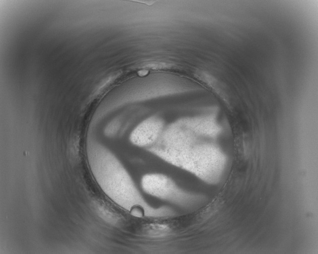 X0000066540159200603241420