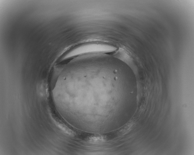 X0000066540160200603241420