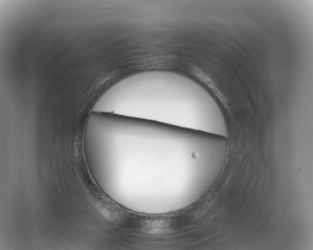 X0000066540161200603241420