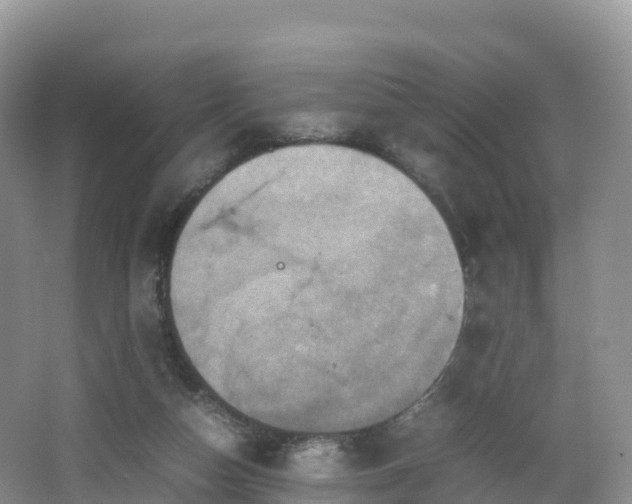 X0000066540162200603241420