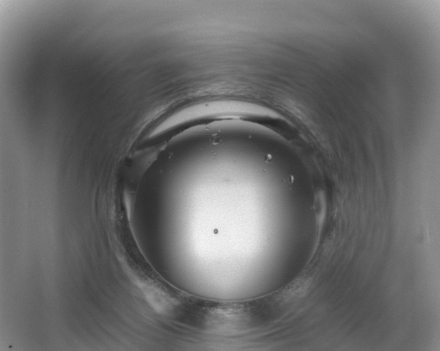 X0000066540164200603241420