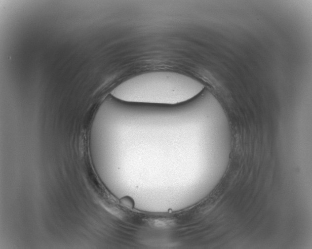 X0000066540165200603241420