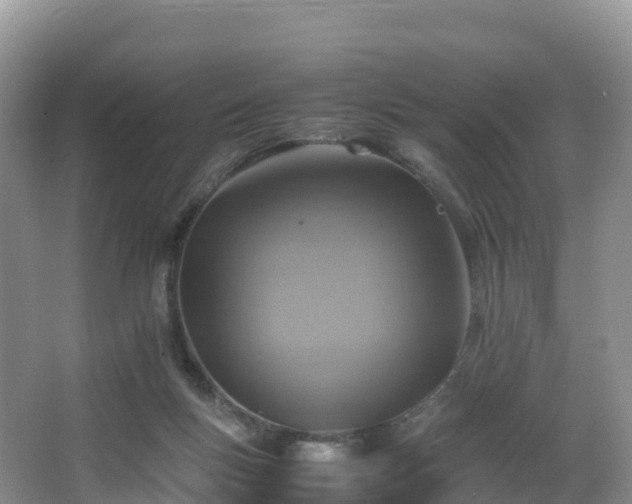 X0000066540167200603241420