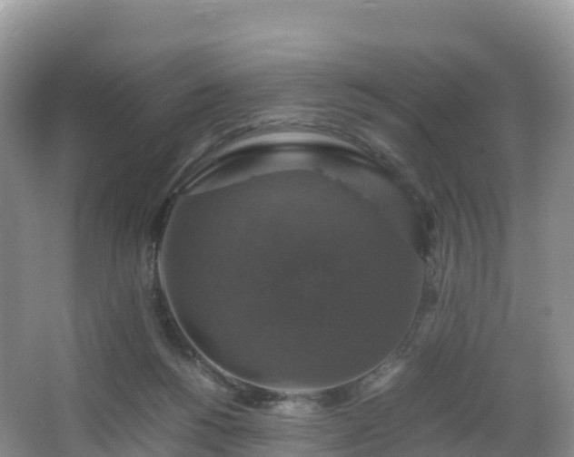 X0000066540168200603241420