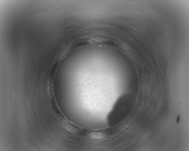 X0000066540169200603241420