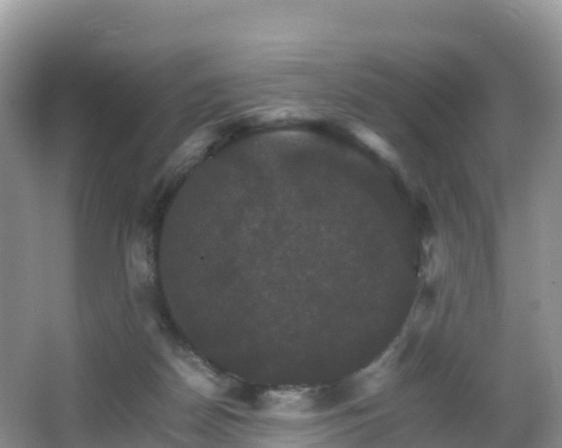 X0000066540170200603241420