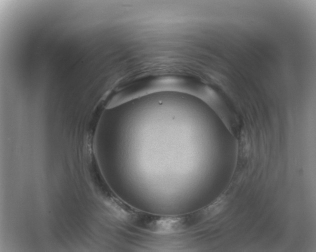 X0000066540172200603241420