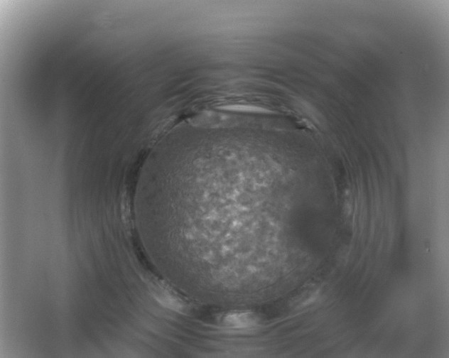 X0000066540173200603241420