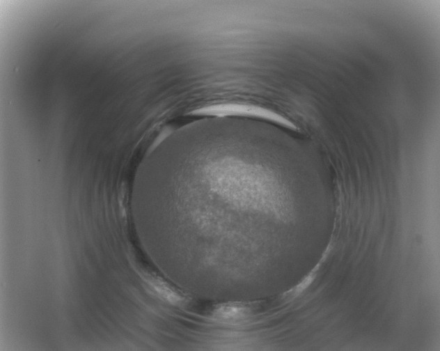 X0000066540174200603241420