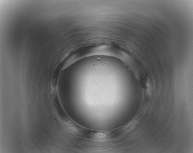 X0000066540176200603241420