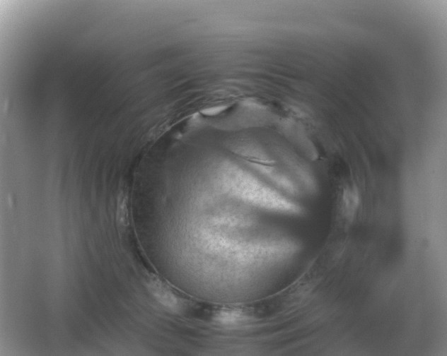 X0000066540177200603241421