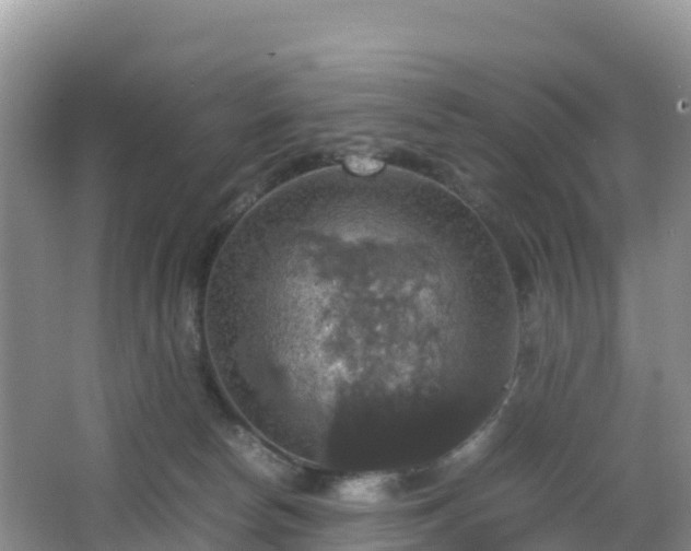 X0000066540178200603241421