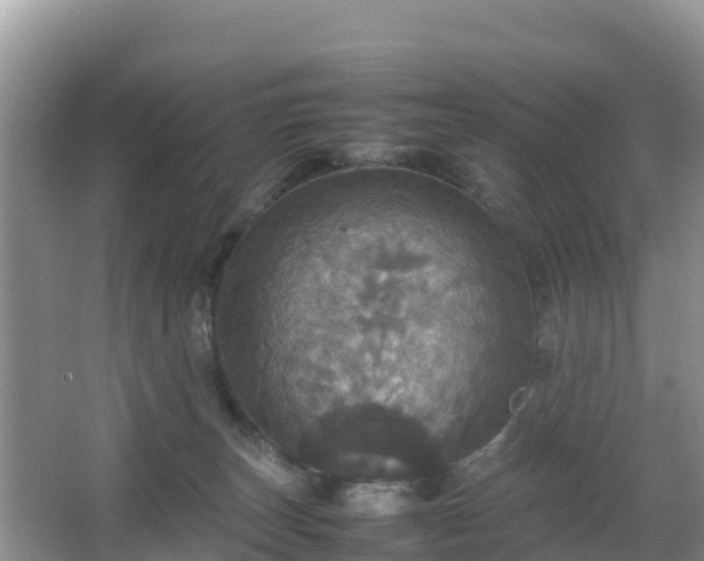 X0000066540179200603241421