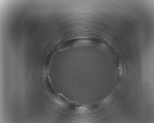 X0000066540180200603241421