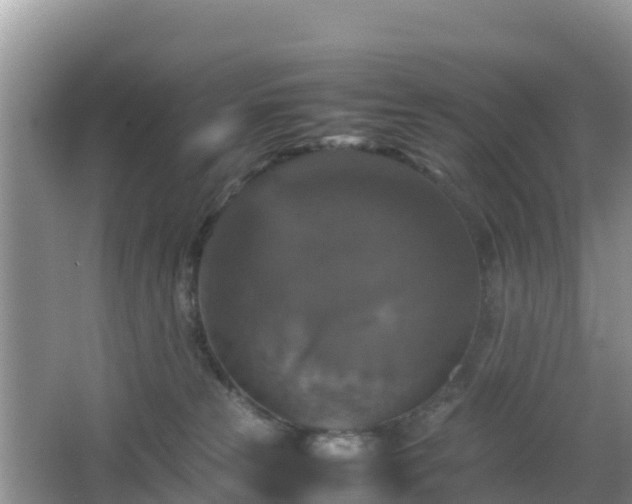 X0000066540181200603241421