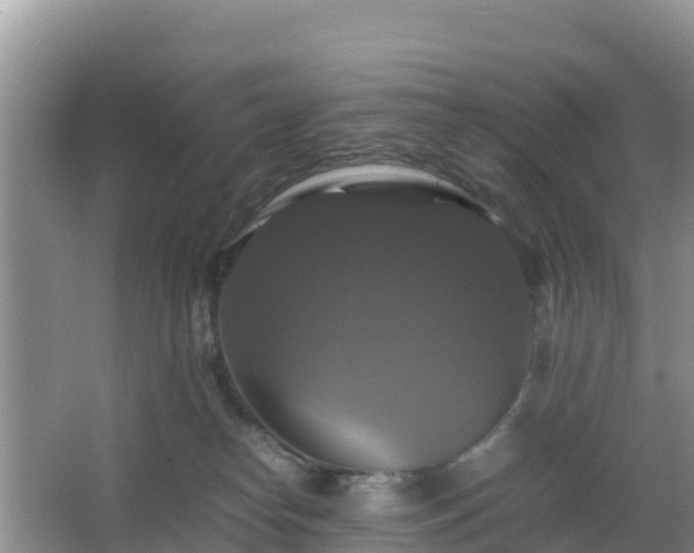 X0000066540182200603241421