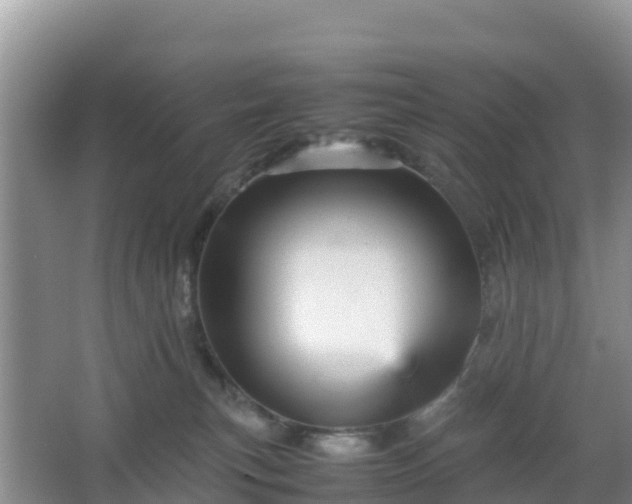 X0000066540183200603241421