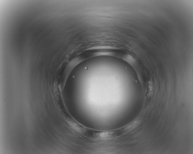 X0000066540184200603241421