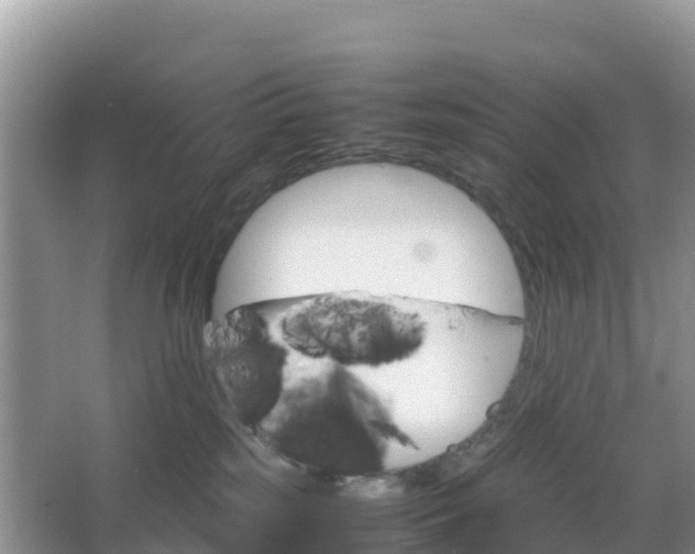 X0000066540185200603241421