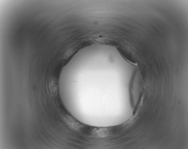 X0000066540186200603241421