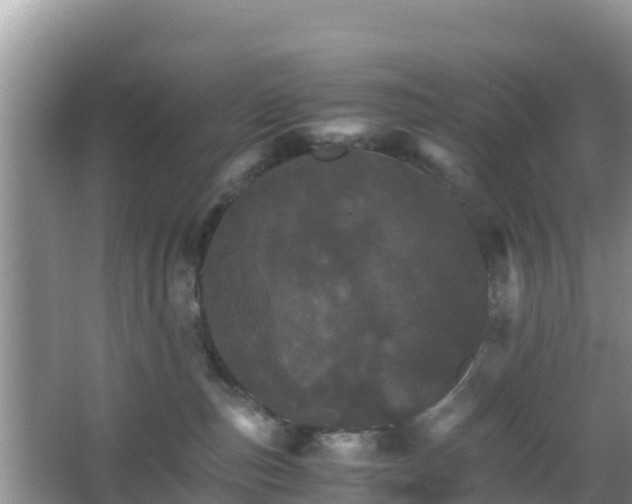 X0000066540187200603241421