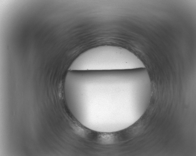 X0000066540189200603241421